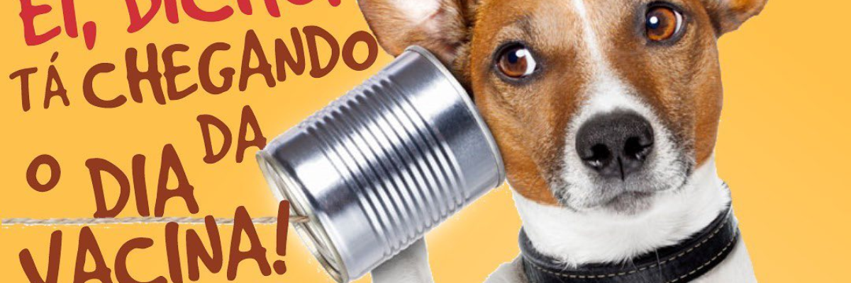 Imagem destaque notícia ARAPOR&Atilde; DAR&Aacute; IN&Iacute;CIO &Agrave; VACINA&Ccedil;&Atilde;O DE C&Atilde;ES E GATOS NA ZONA RURAL